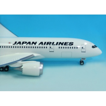 jal20b788p01-02